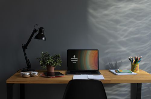 Beautiful modern desk with plant and accessories for National Organize Your Home Office Day