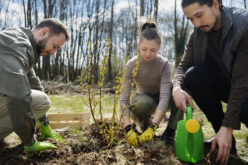 arbor day planting trees