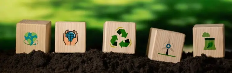 sustainability