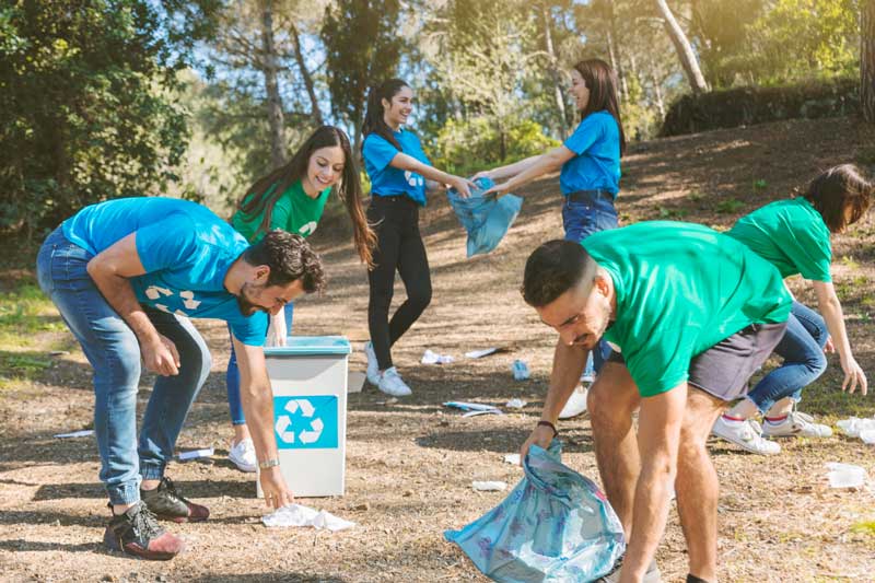 volunteers summer workplace