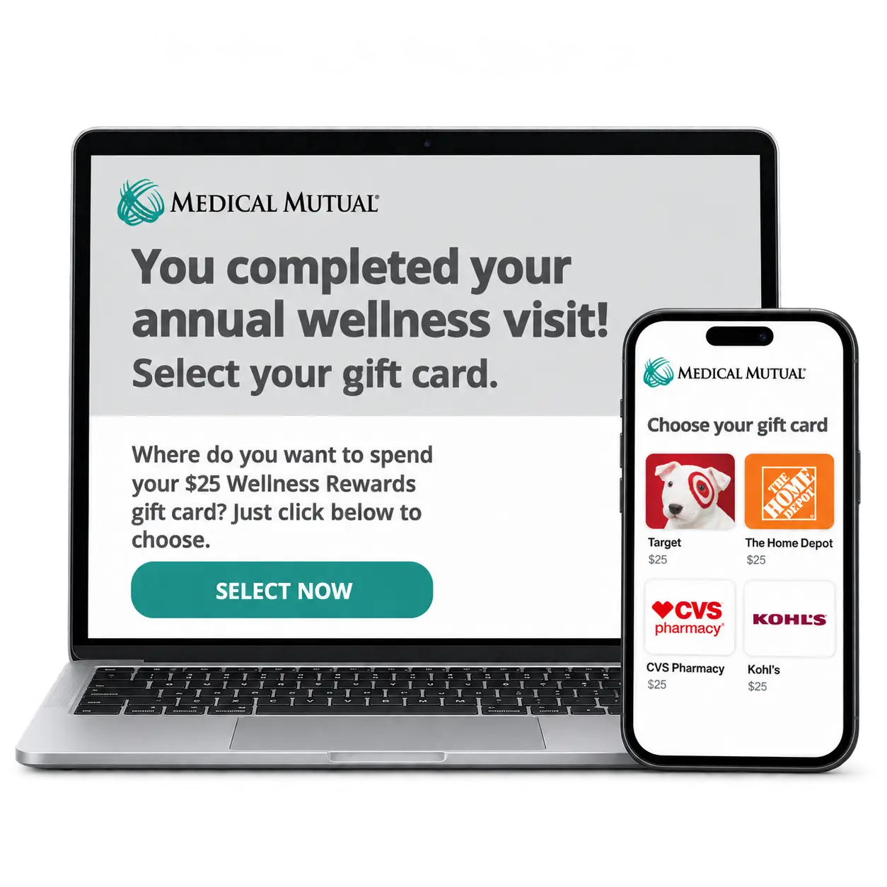 Medical Mutual case study illustration: wellness visits, screenings and other programs